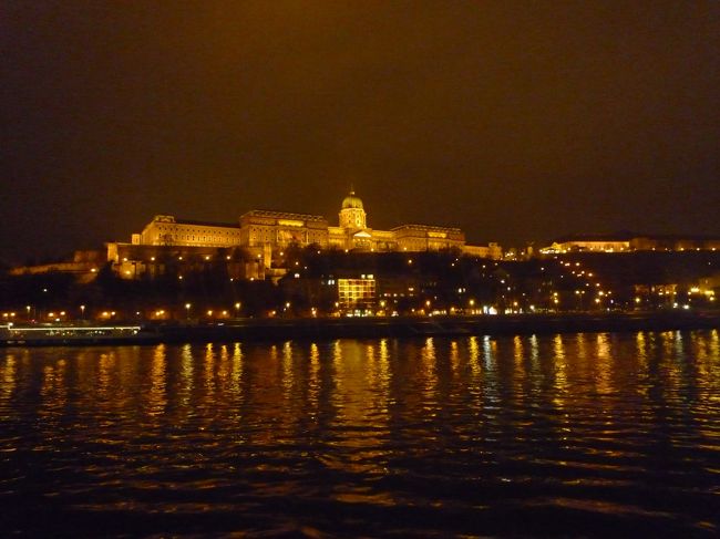 光が水に反射してステキ。