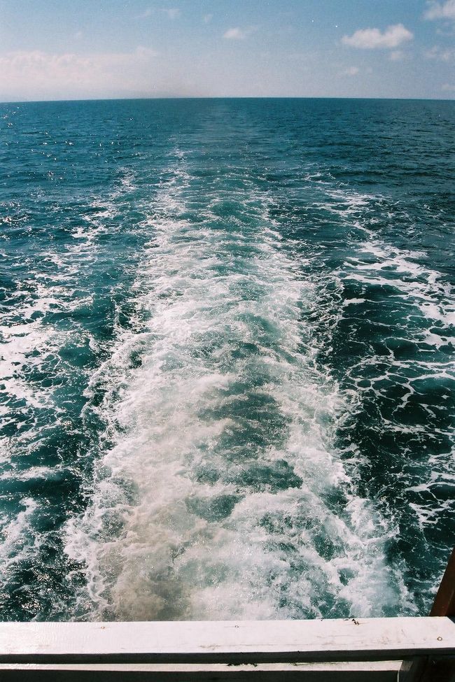 がんばって走ってます。黒いのが少し気になる。<br />