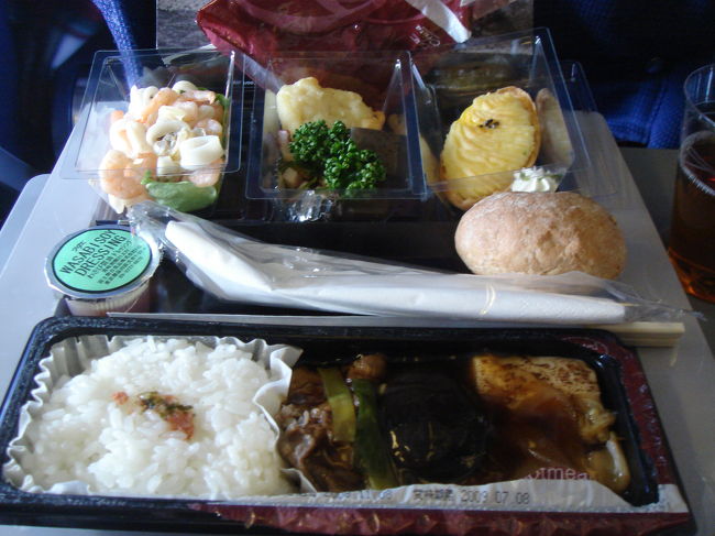 　成田空港　第１ターミナル10：05集合。<br />　1時間前くらいに空港に着いたので、受付のカウンターを確かめに行ったら、受付は9：30だけど、荷物だけ預かってくれました。ツアーによっては、集合の時間にならないと一切受け付けてくれないものもあるので、早めに行ってみて良かったです。<br /><br />　添乗員さんは、ベテランでとても落ち着いた優しそうな方で安心。<br /><br />　KLMは、初めて利用しましたが、CAさんの対応も良いし、機内食（和食orパスタ）もなかなか美味しく、個別モニター付シートでした。映画で見逃してた「SEX AND THE CITY」観ちゃった！<br />　2回目の機内食との間に、おやつが出ましたが、何故かカップヌードルかスーパーカップバニラ（アイス）とのチョイス。機内が暑めだったので、アイス美味しかった…　<br />　