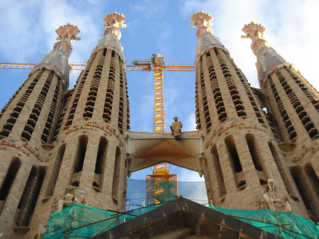 　後ろ姿。こっちはすっきりしてるんですよね。