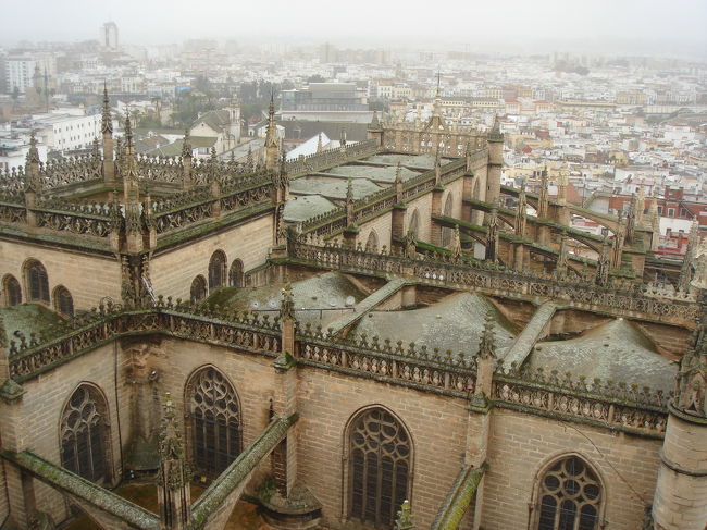 　ヒラルダの塔にも登りました。こっちは楽勝。