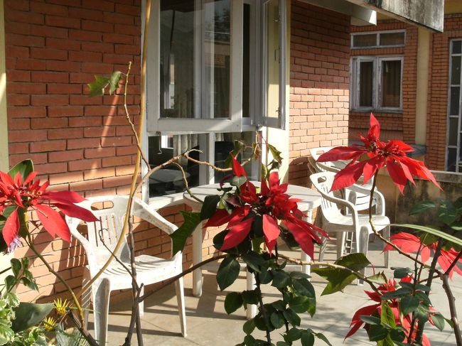 <br />　インペリアル・ゲストハウスの最上階の日当たりが良い部屋に決める。