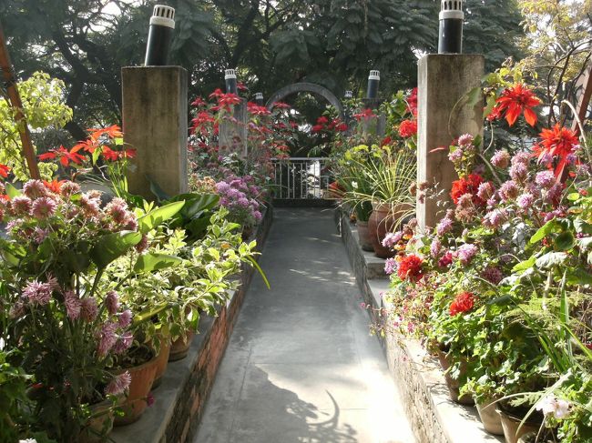 <br />　一泊５００ルピー（７００円くらい）だった。