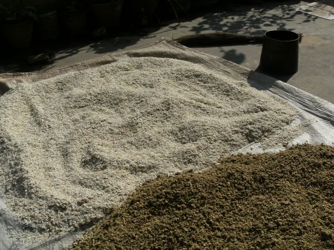 <br />　次の日、ビゼ君にカトマンズ郊外の観光名所、”パクタブル”を案内してもらった。<br /><br />　カトマンズからバイクで１時間以上もかかる。車なら渋滞にあうのでもっと時間がかかる。<br /><br />　カトマンズの車の渋滞を思えば、若者がバイクに乗りたがる気持ちがよくわかる。<br /><br />　そのまえに、親戚の家に寄るというので一緒に行く。団地の建物の屋上に米のようなものを干している。米を薄く潰してあるものと麹（こうじ）のようだった。<br />　<br />　<br /><br /><br />