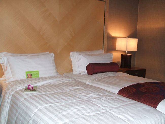 確か、バンコク時間で夜中の２時位だった気が・・・（時差が日本と２時間あるので日本では朝４時です）<br /><br />夜勤明けで長い一日でした。<br />おやすみなさい♪