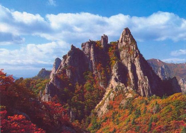 紅葉に染まる雪嶽山です。