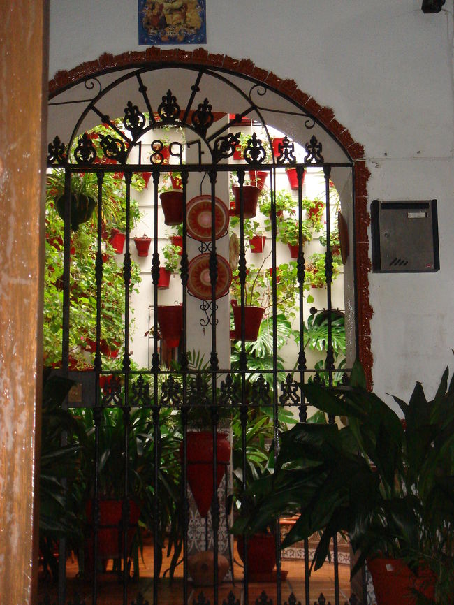 　この辺りのお家は、みんなパティオ（中庭）を作って、そこでくつろいだり遊んだりするそうです。<br />　年に１回、パティオコンテストがあり、その日を目指してみんなガーデニングに精を出すんだって。<br /><br />　寒い中、かろうじてゼラニウムが頑張って咲いていました。