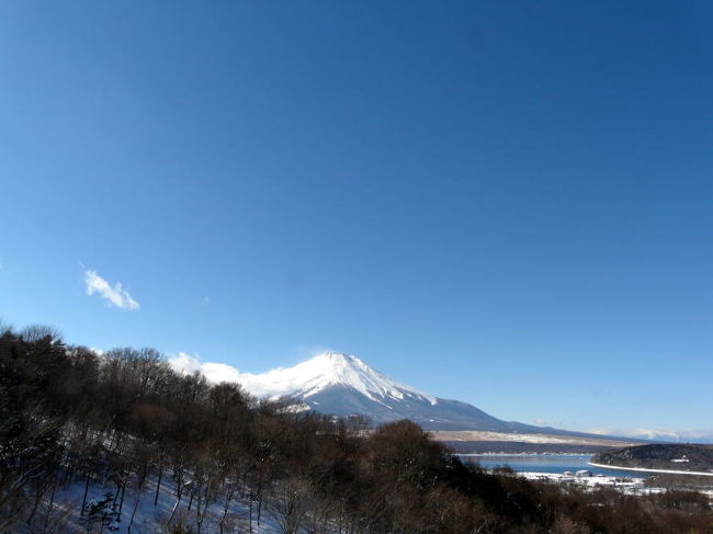 お昼の富士山