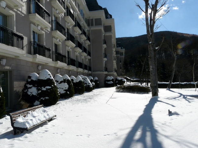 雪に埋もれた３号館前のお庭
