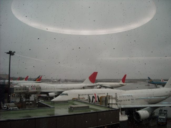 写真はJALですが、ガルーダインドネシア航空の飛行機に乗ります。<br />楽しみだ〜！！