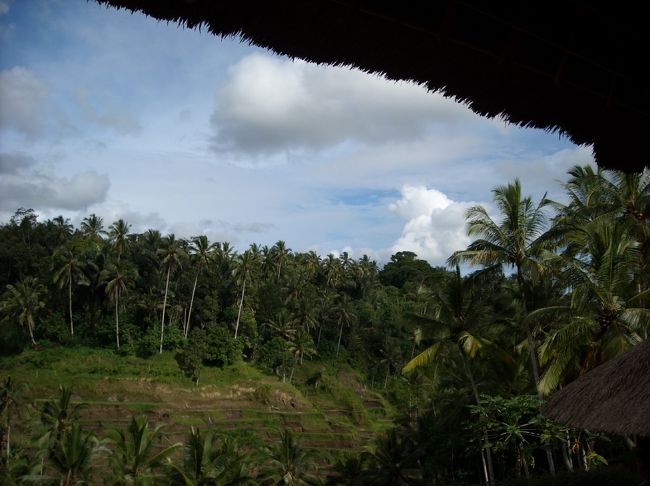 その後、車をチャーターし、テガカランのライステラスへ。