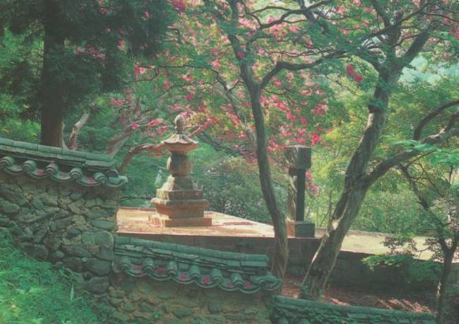 静かなたたずまいの境内の光景です。