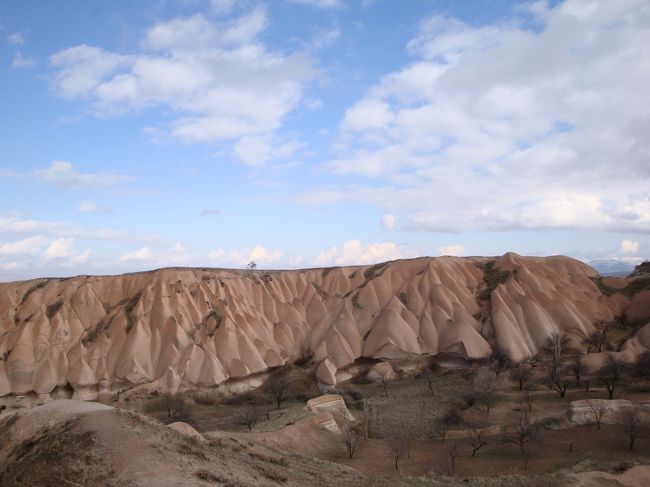 光が当たると表情が変わります