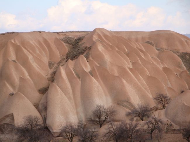 お天気で光と影が変わり、色々な表情をつくります。おそらく、時刻や天気で同じ写真は2度と撮れないと。