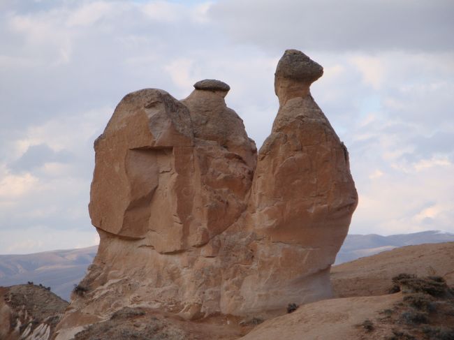 有名ならくだ岩。この写真を撮るのはただですが、近くにいる本物のらくだを撮るのは有料です。