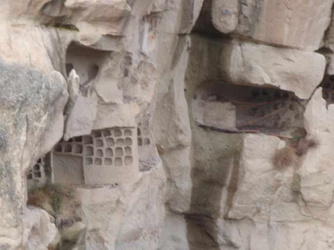 鳩ノ巣、ふんをとって集め畑の肥料にするそうです。