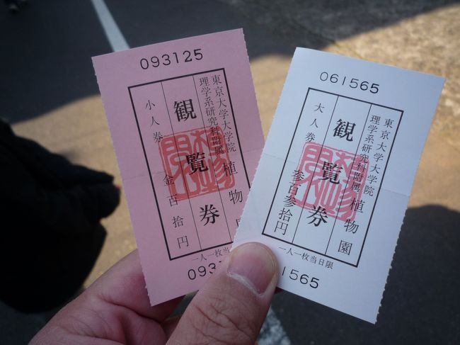 　入園券を購入し、さー中に入ります。