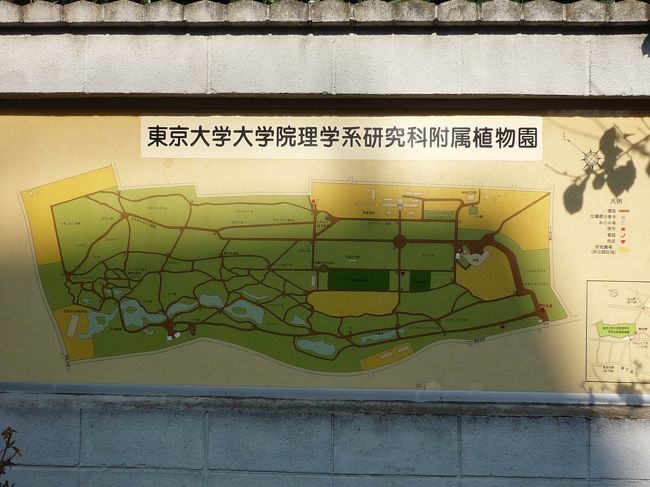 　全景です。<br />　横に細長いです。<br />　新宿御苑の１／５ぐらいでしょうか？