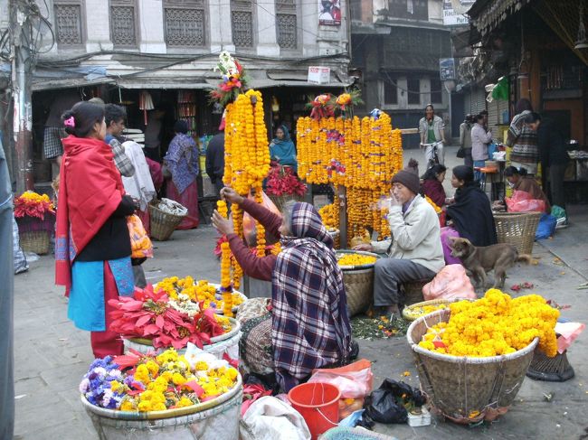 <br />　　花屋さん・・