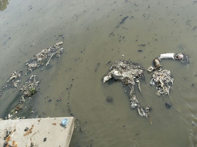 <br />　パグマティ川の流れ・・・<br /><br />　汚物やゴミが下流へ・・