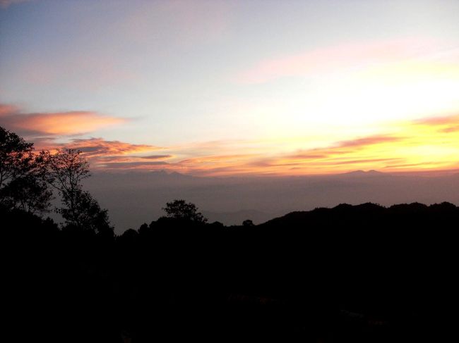 <br />　この日は運がよかった・・<br /><br />　ビゼ君も仲間もみな感動！！