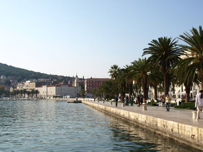 南国な感じです。