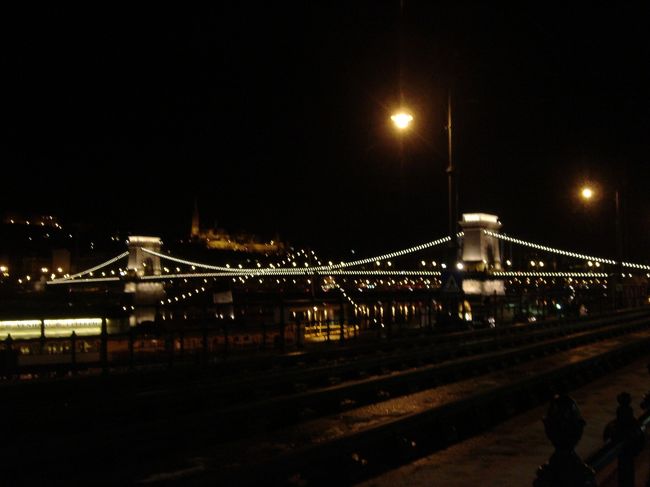 もちろんくさり橋も見えます。<br />