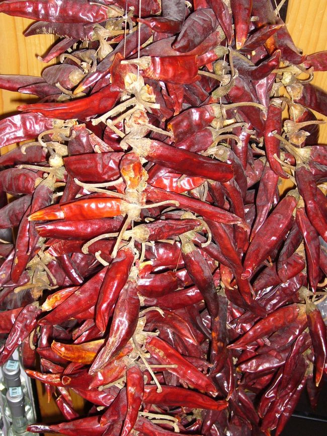中央市場に行きました<br />パプリカがたっくさんつられています