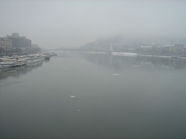 橋からドナウ川を見下ろすと、結構川幅がある。<br />2月の真冬は流氷が流れてました。