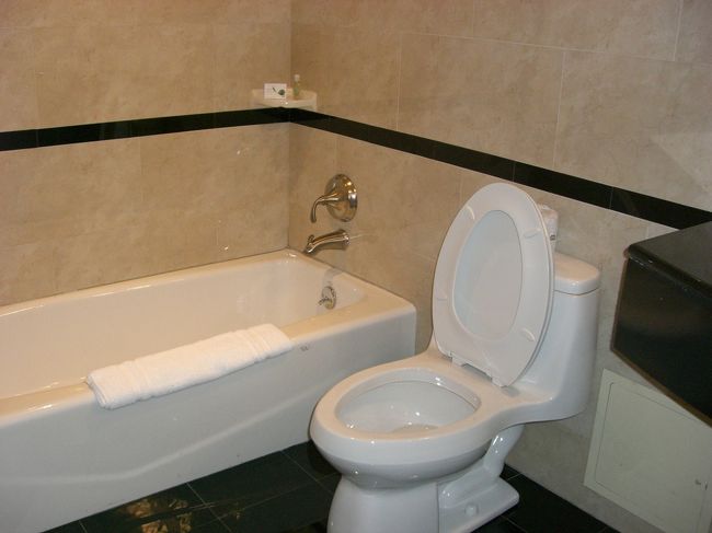 水周りもとーってもキレイでした！<br />ただシャワーがお湯になるのがあまりに遅くて、<br />一瞬壊れたのかと思って焦りました。