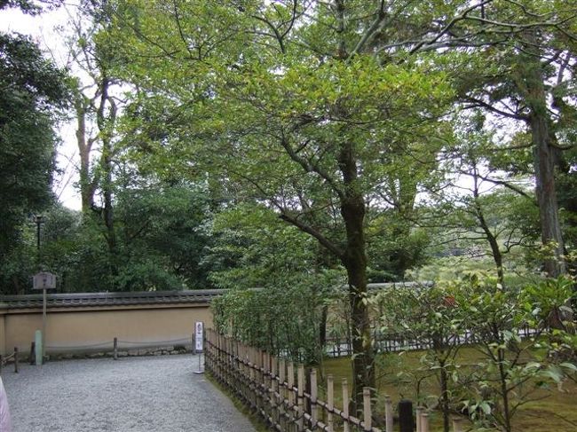 タクシー観光（3時間ｺｰｽ）<br /><br />金閣寺<br /><br />この道を右に曲がって進むと金閣寺です（ワクワク）