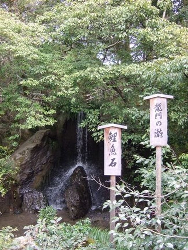 タクシー観光（3時間ｺｰｽ）<br /><br />金閣寺<br /><br />金閣の北側には、「龍門の滝」があります。<br />この滝は2.3メートルもの高さを一段落としにしたもので、龍門の滝を鯉が登りきると龍に化するといわれる中国の故事「登竜門」に因んだ「鯉魚石(リギョセキ)」が置かれています。鯉魚石は水飛沫のかかっている尖った石です。<br />