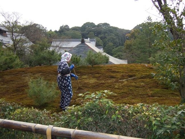 タクシー観光（3時間ｺｰｽ）<br /><br />金閣寺<br /><br />のどかです。<br />ほのぼの〜♪