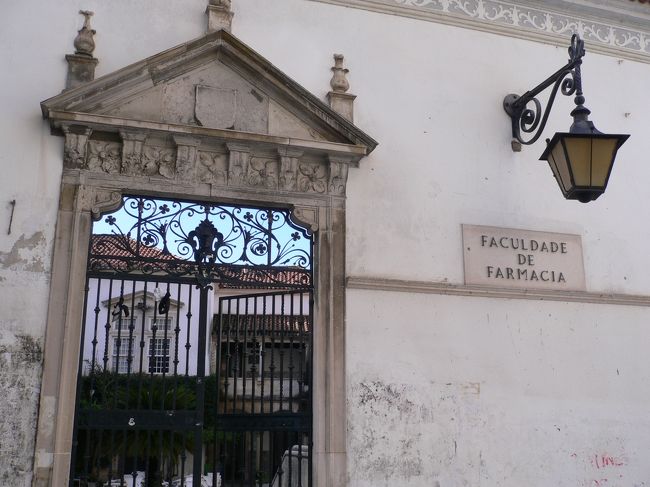 大学構内から旧市街地へ降りて行くと薬学部が在る