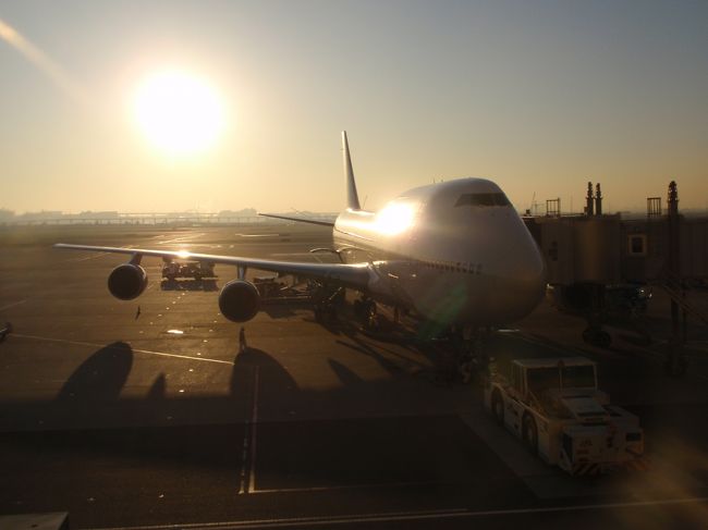 航空券の手配が直前で早い便が取れなかったため、今回は１６時発のＪＡＬ９２５便。この日の東京はお天気よく夕陽がまぶしいです。