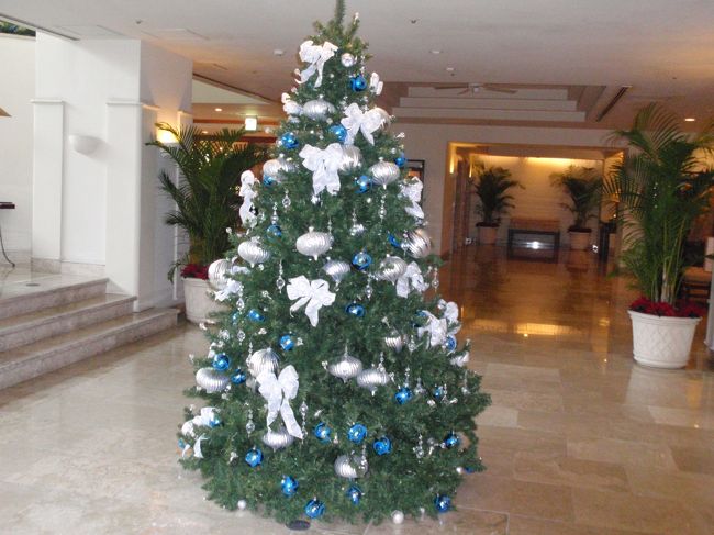 シャトルバスの乗車時間まで少しナハテラス内を散策。ナハテラスのロビーにもツリーがありました。