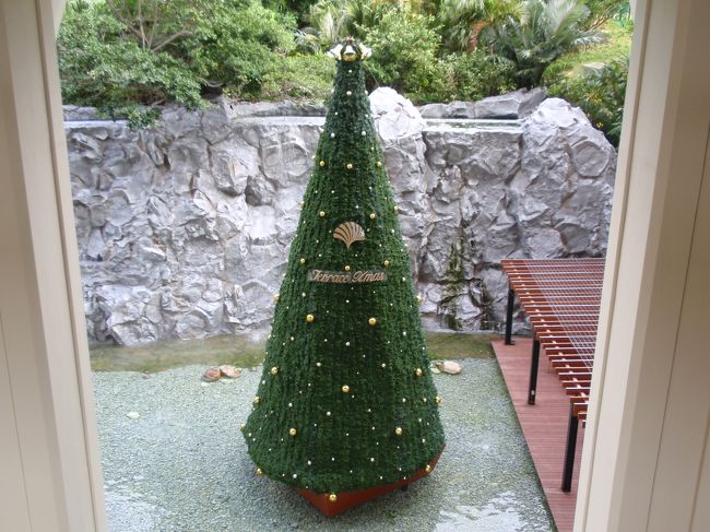 シャトルバスの出発時間まで１時間あるので、ブセナテラス内を散策。アッタテラスは大人のリゾートという感じなのですが、ブセナテラスは子供連れの家族が多かったです。