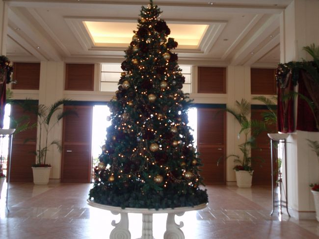 ロビーにもツリーがあります。寒くない場所で見るツリーにも慣れてきました。