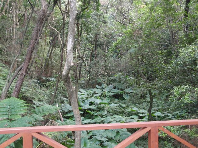 敷地内のガーデンを散策。緑が一杯でマイナスイオンたっぷりって感じです。