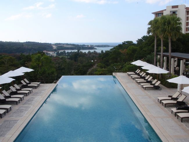 アッタテラスといえばこの森に向かって開かれたプール！周囲を森に囲まれた大人の隠れ家って感じです。