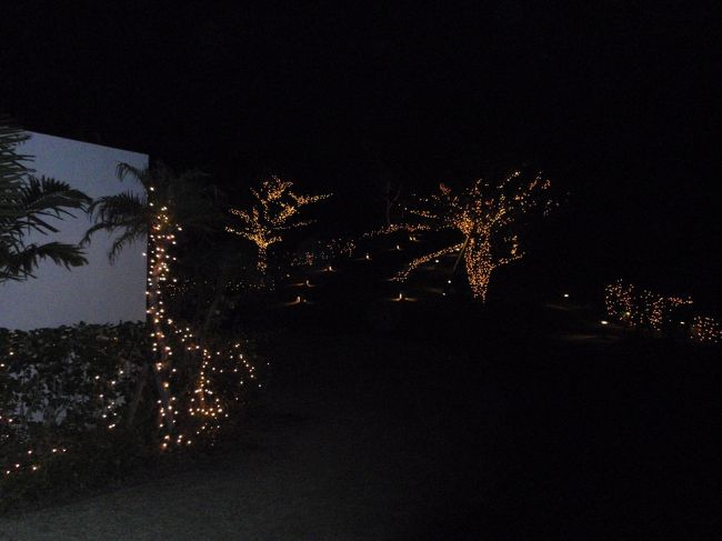 夜になってクリスマスらしく敷地内もライトアップされます。