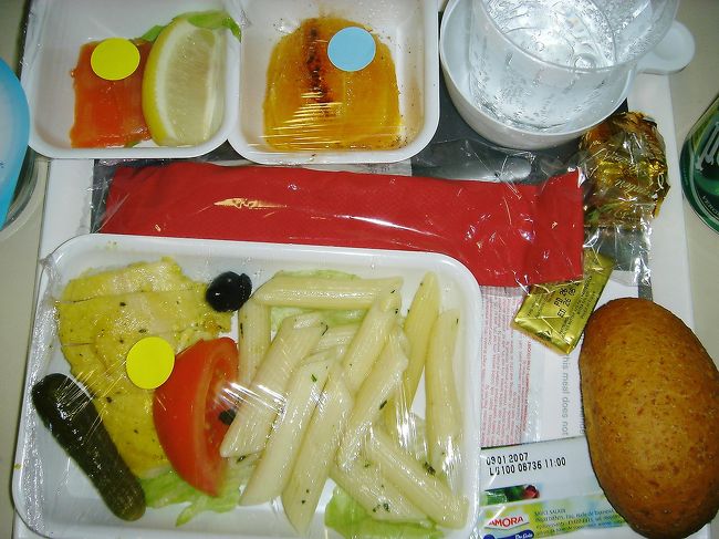 カサブランカからパリまでの機内食。<br />さっぱり風味で体調悪くても食べられます。