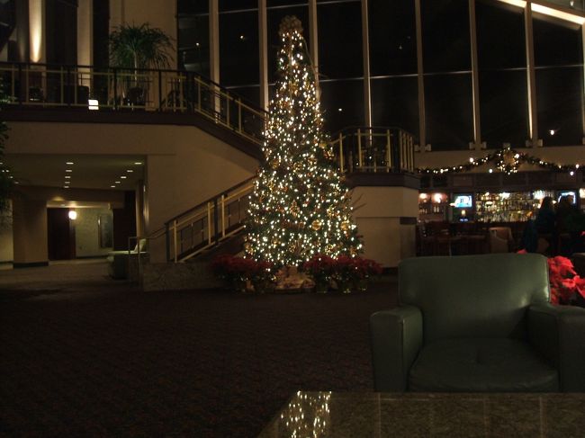 レストランがオープンするまでロビーのクリスマスツリーを撮影してみたりします。<br /><br />真冬のワシントン、朝７時を過ぎても暗いです