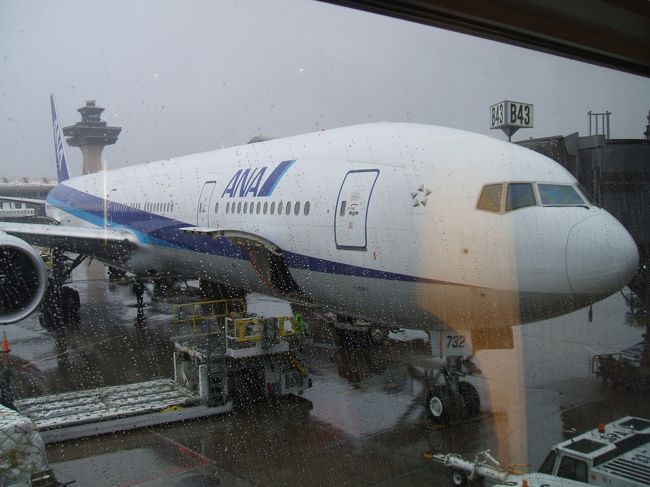 ダレス空港には、カウンターがオープンする前に到着してしまいました。<br /><br />チェックイン後は、ラウンジで出発を待ちます。<br />この写真は、ラウンジのトイレの入り口で撮影しました。ここでの感想は、しばらく米を食べていなかったのでラウンジにあったコンビニにある普通のおにぎりが美味しかったことです。<br /><br />帰りは約１４時間位のフライトで成田に到着しました。入国も並ばずにすんなり出来たし荷物もプラチナ会員の為にファーストクラス用のタグが付いていたのですんなり出て来て到着ロビーで迎えに来た友達と久々の再会です♪<br /><br />その後は、車でディズニーシーへ♪<br />綺麗な写真がなくて載せられません。<br />ごめんなさい。<br /><br />やっちゃんにとって初めてのディズニーシーでしたが楽しかったです。<br />実は、この約１ヶ月にディズニーアンバサダーホテルに宿泊したので後日、その旅行記を掲載しますね。<br /><br />長々と下手な文章と写真を見てくださり有り難うございました。