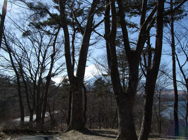 またまた、走り出して林の向こうに見えた富士山です。