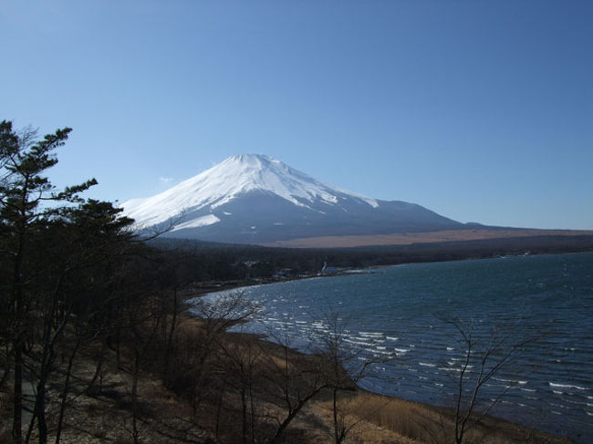 少し角度を変えて。