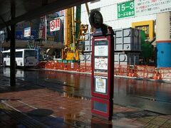 お腹も満たされたので観光に行く事に。
駅前から出ている、るーぷる仙台で。