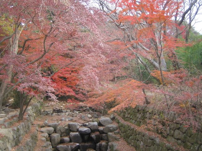 ＜仏国寺＞<br />まだ紅葉は大丈夫でした。<br />秋の慶州は紅葉できれいですよ。