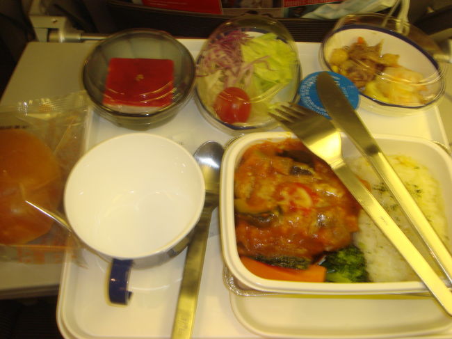 機内食は、ナントカハンバーグ。まあまあ。娘に無理やり食わせる！