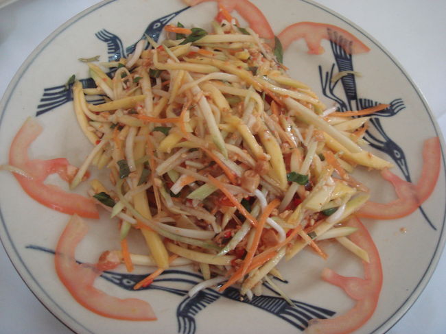 ハノイの街へ。いちばんすきなオーラックハウス。青いマンゴーのサラダ。